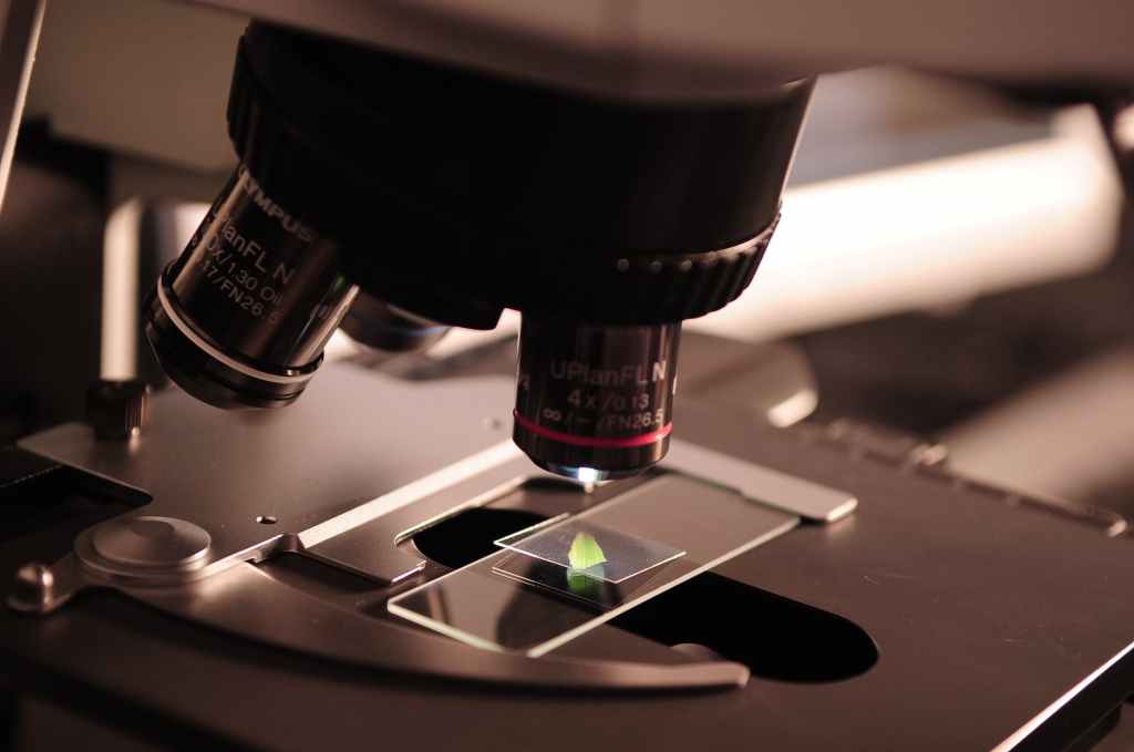 Microscopic Observation: Examining Plant and Animal Cells under a Microscope – IGCSE Prescribed Practical
